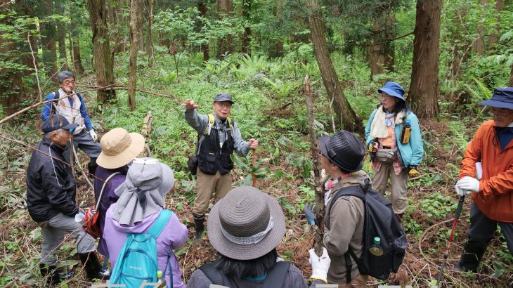 北畠氏の館跡見つかり、初のツアー　鹿角市大湯