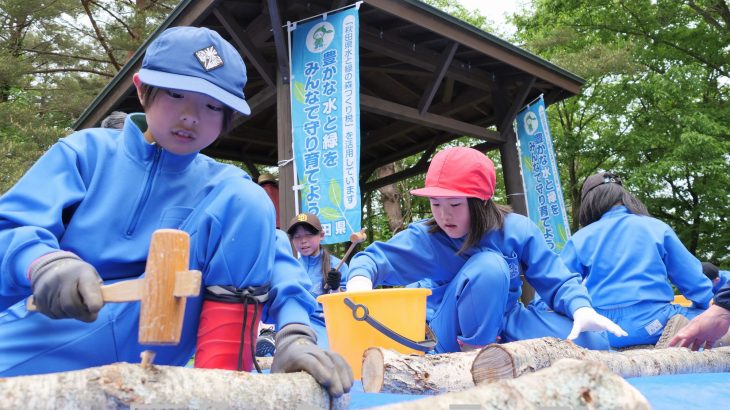 森林公園で小学生がシイタケ植菌　鹿角市