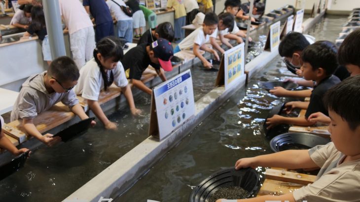 最後の小学生の砂金採り大会　鹿角市尾去沢
