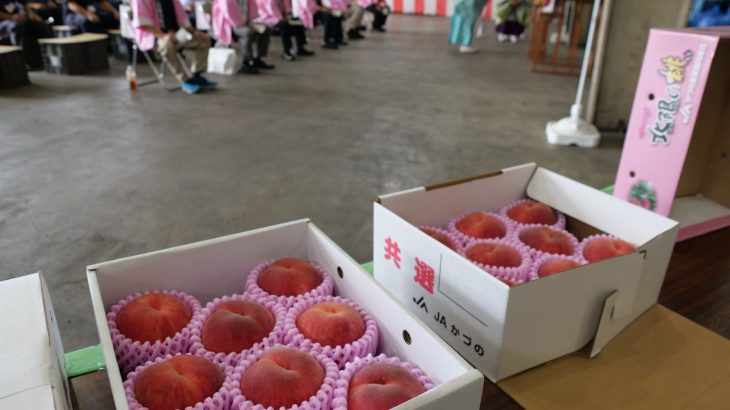 「北限の桃」収穫前に祈願祭　鹿角市