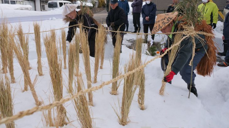 「雪中田植え」で豊作祈る　鹿角市八幡平