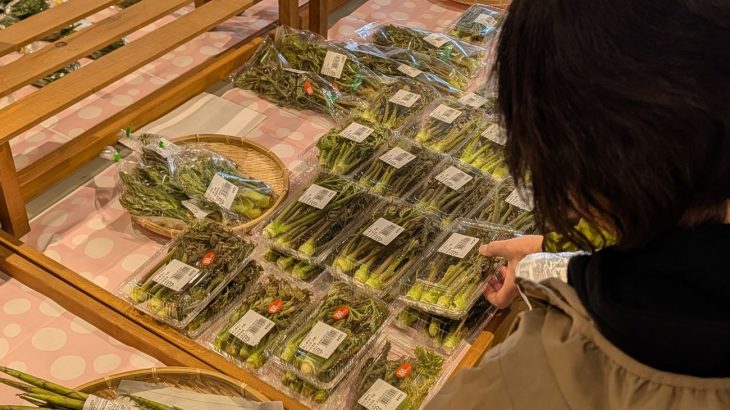 産直に旬の山菜どっと　鹿角市内