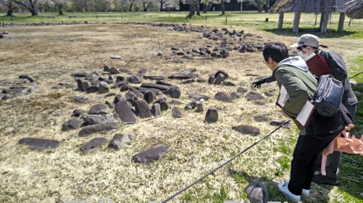 縄文人と植物のつながり探る観察会　鹿角市の大湯環状列石