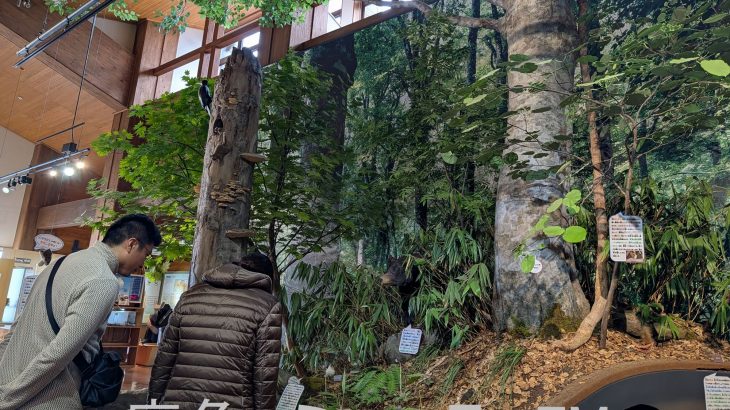 みどりの日、雨でも自然体験　八幡平ビジターセンター