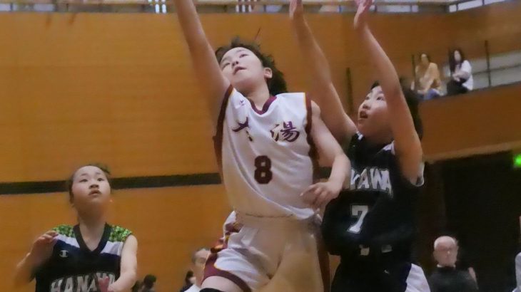 男子トワダ、女子大湯が優勝　鹿角ミニバス