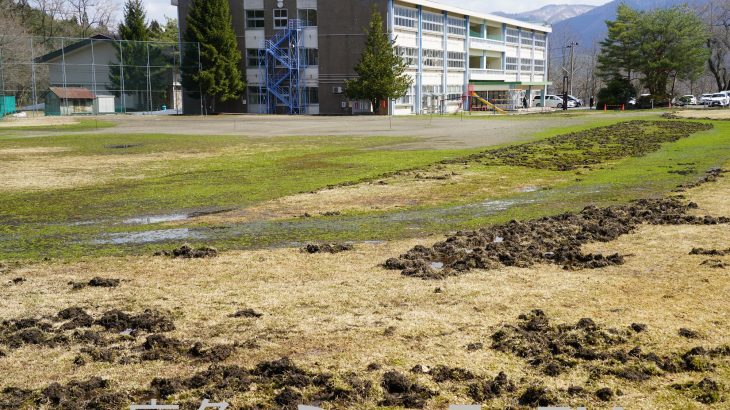 イノシシのグラウンド被害、電柵で効果　鹿角市、一般質問