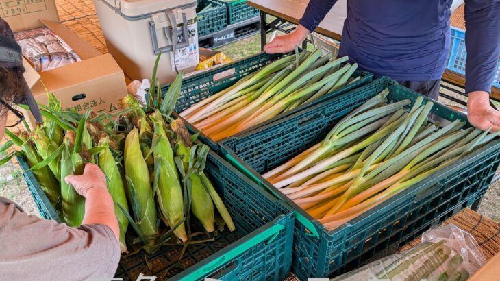 開始後、即人気の直売所が作目拡大へ　鹿角市末広