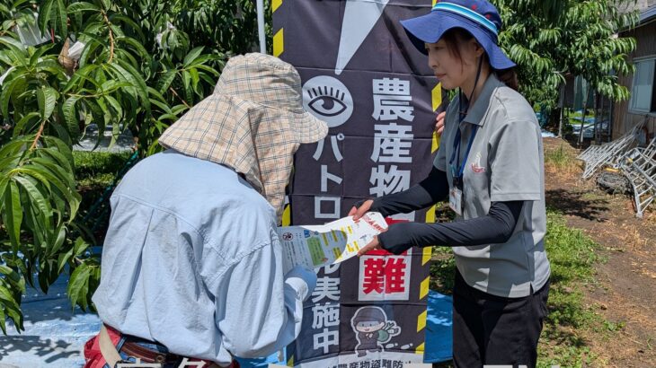 農作物の盗難防止へ組織的パトロール　鹿角地域