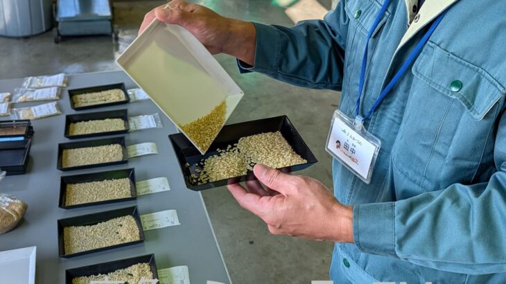 おいしい新米、集荷始まる　鹿角地域